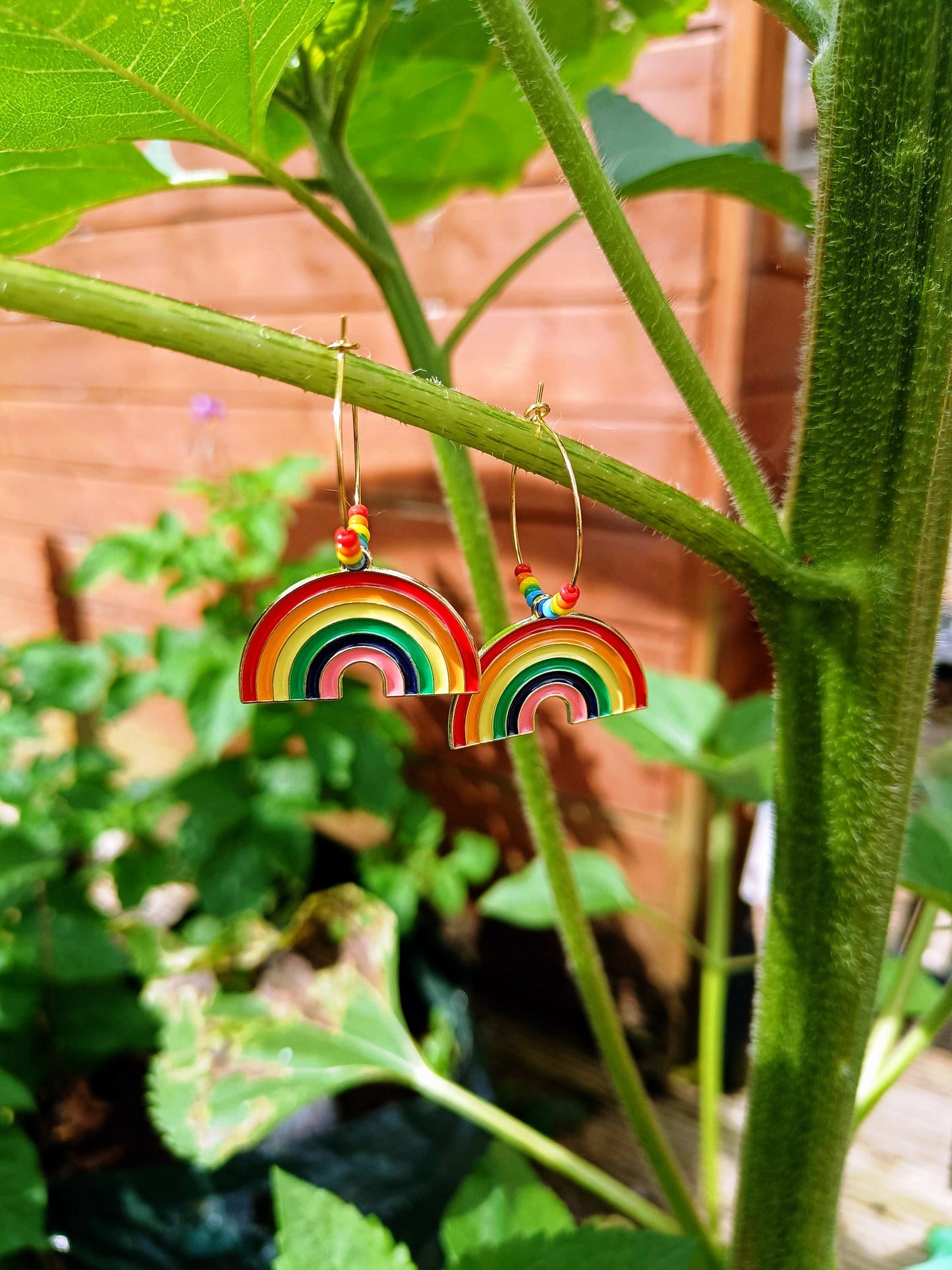 Rainbow Hoops