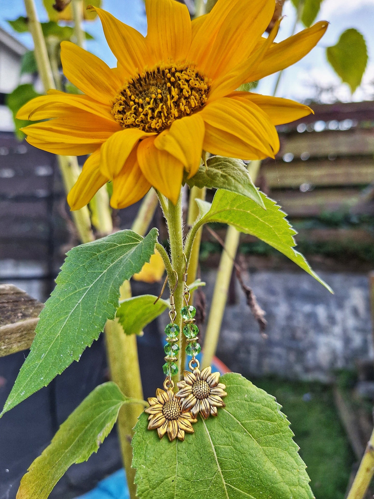 Mirasol Golden Sunflower Earrings